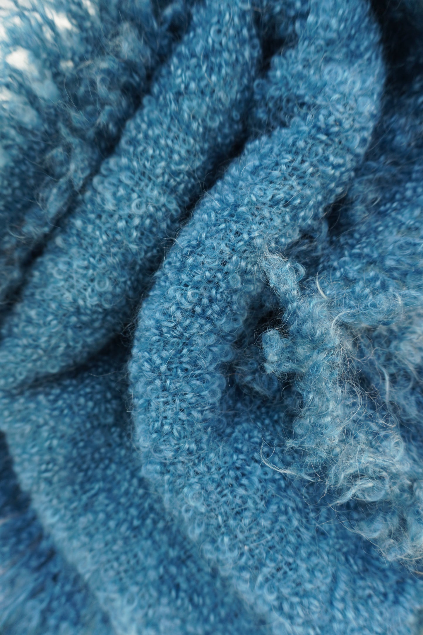 Protea — Blue