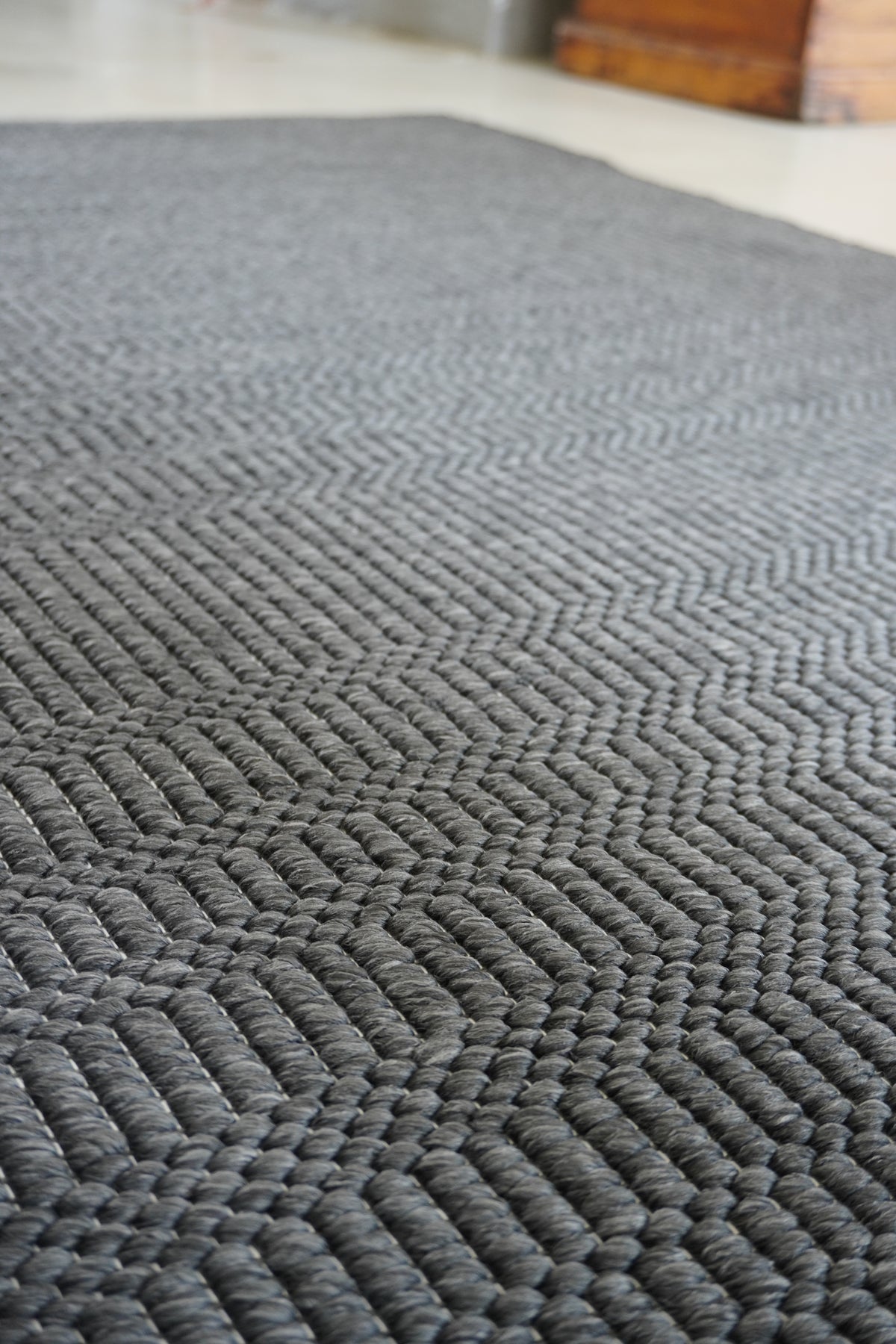 Ficus polypropylene Rug in Charcoal