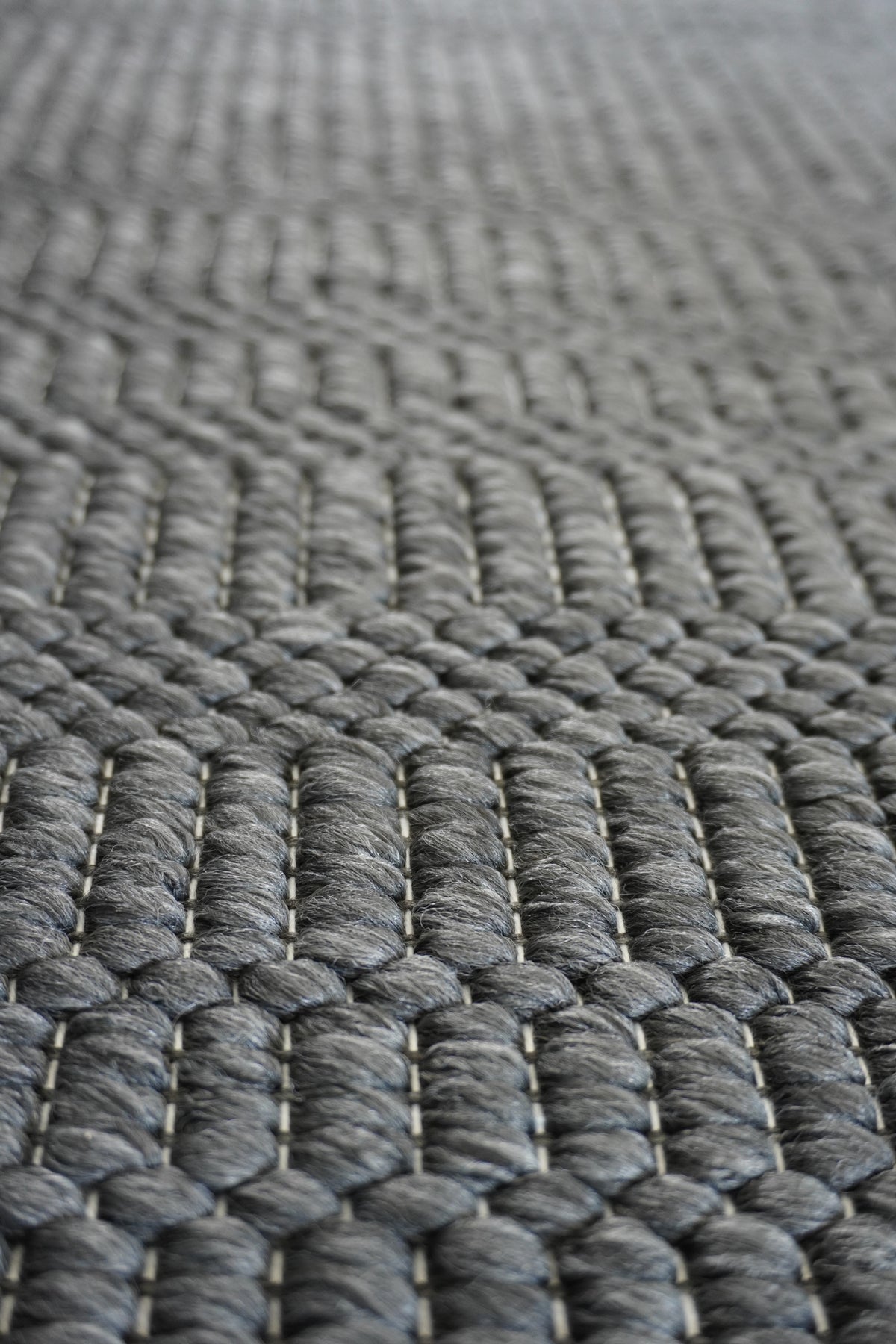 Ficus polypropylene Rug in Charcoal