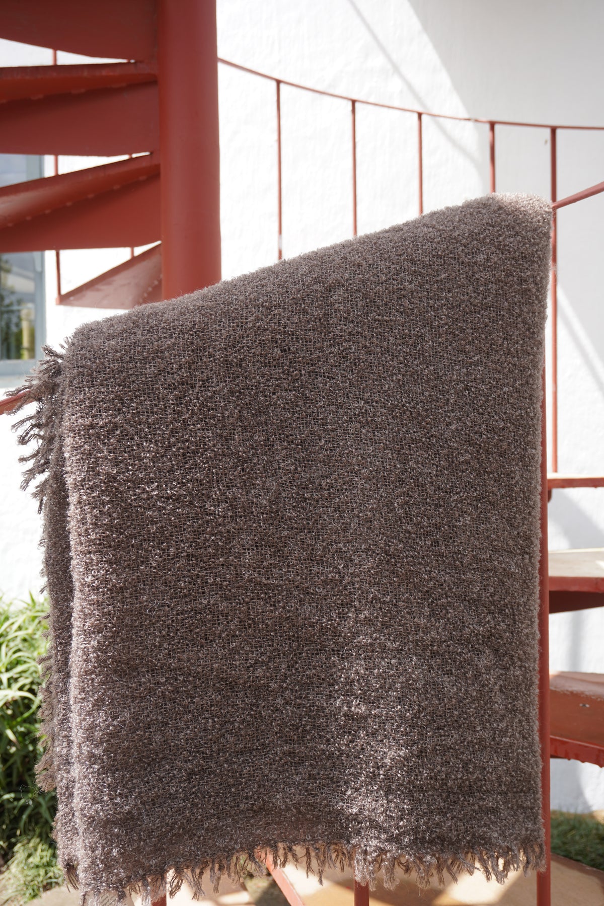 Protea Boucle Mohair